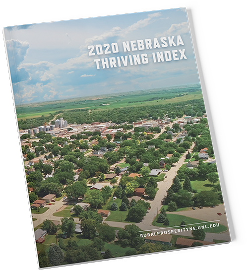 cover of 2020 report