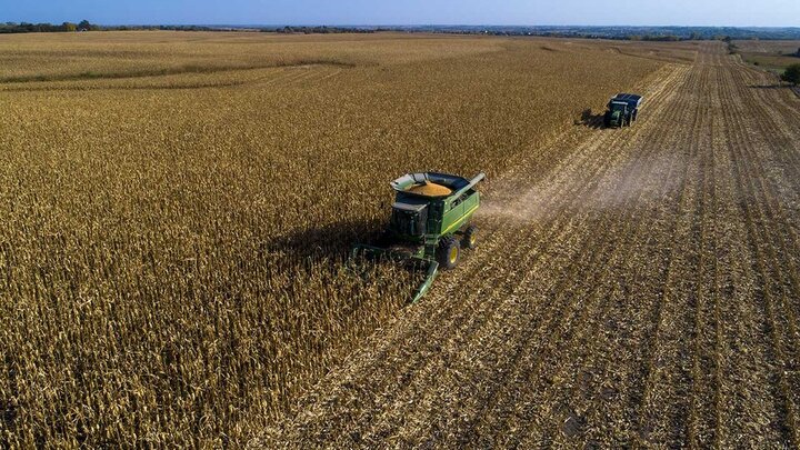 A combine harvests corn in Nebraska.