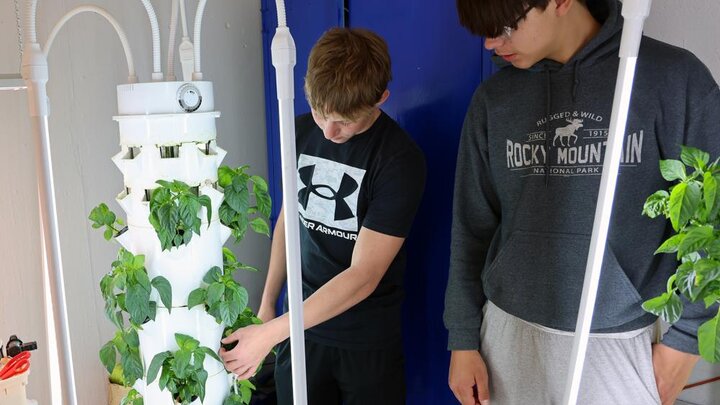 Students grow bell peppers in a hydroponic growing tower at Southern High School in Wymore.