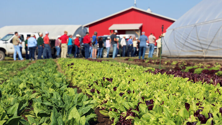 Robinette Farms, in Martell, Neb., grows microgreens and baby greens, raises cattle, and distributes foods from local producers throughout southeast Nebraska.