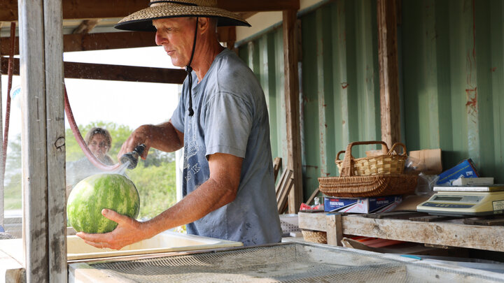 Gary Fehr washes a watermelon at his farm, Green School Farms, in Raymond, Neb. Photo by Russell Shaffer