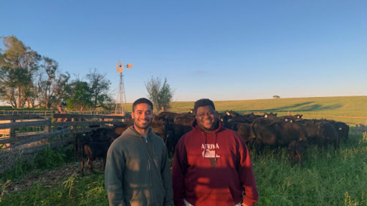 Rural Fellows Ahmed Al Rawahi (L) and Laurent Ikuzwe help residents of Gothenburg take cattle to pasture.