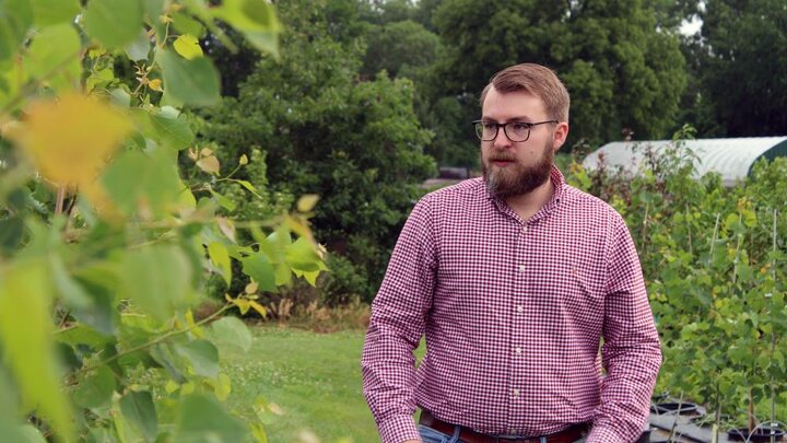 Austin Arens looking at trees.