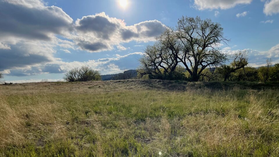 Rural Nebraska Landscape