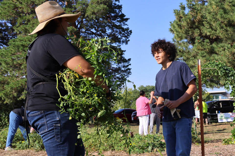 Two student volunteers work at a farm, one of them holding a bushel of vegetables, as part of the Indigeneous Food Sovereignty Program at UNL. Photo by Russell Shaffer